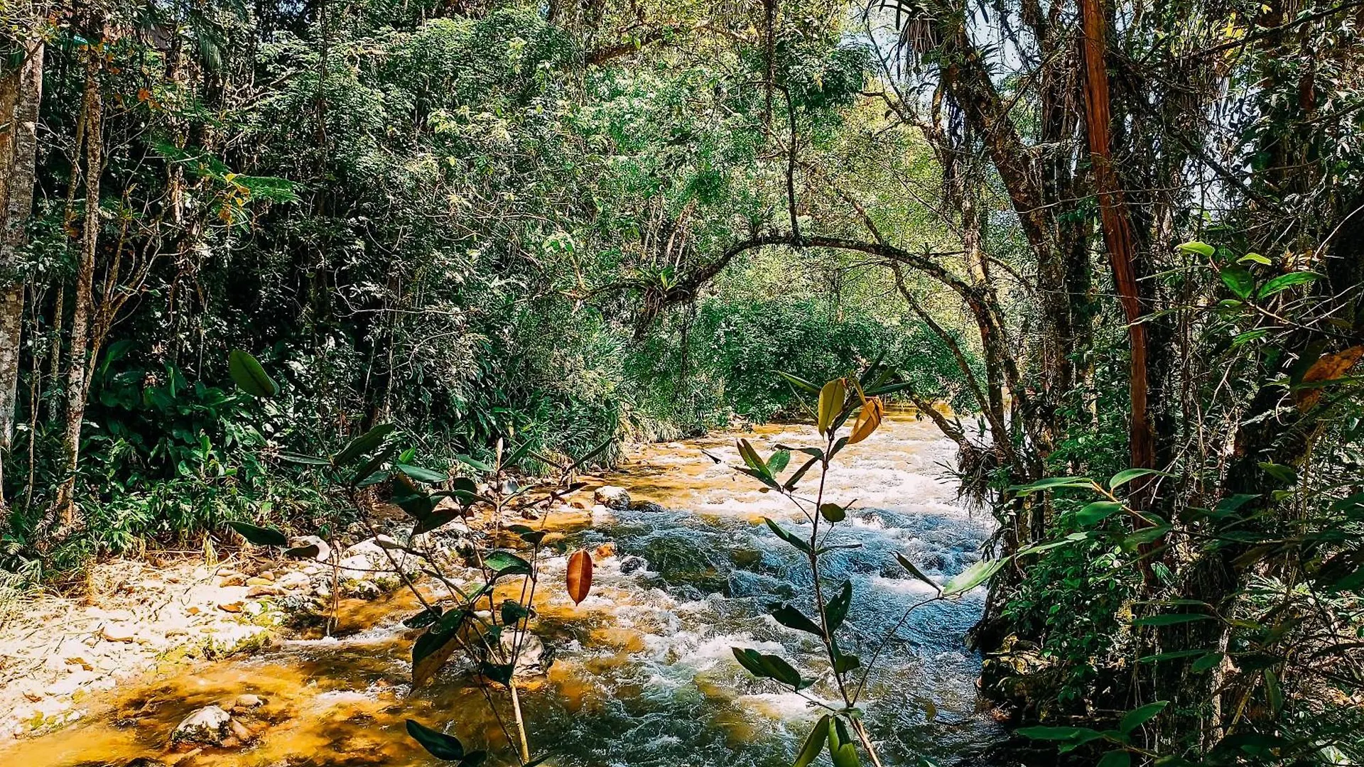 Jaktstuga Suite Com Cachoeira No Quintal Antonio Carlos